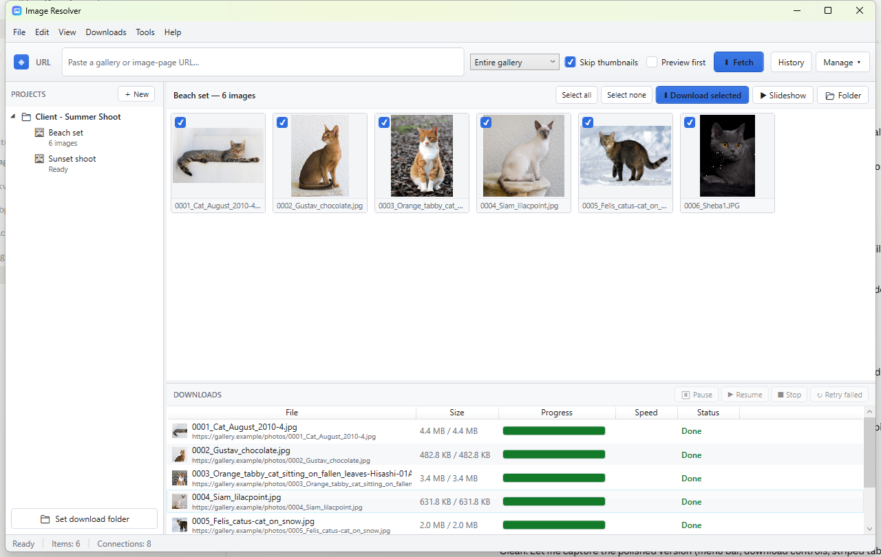 Image Resolver main window showing project tree, thumbnail selection grid, and live multi-connection download manager